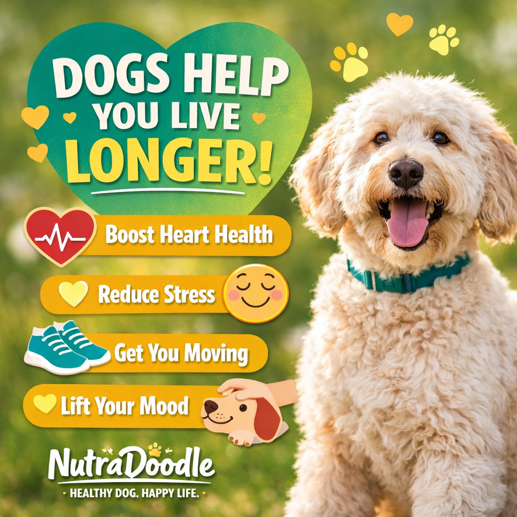 7 Science-Backed Reasons Dog Owners Live Longer 