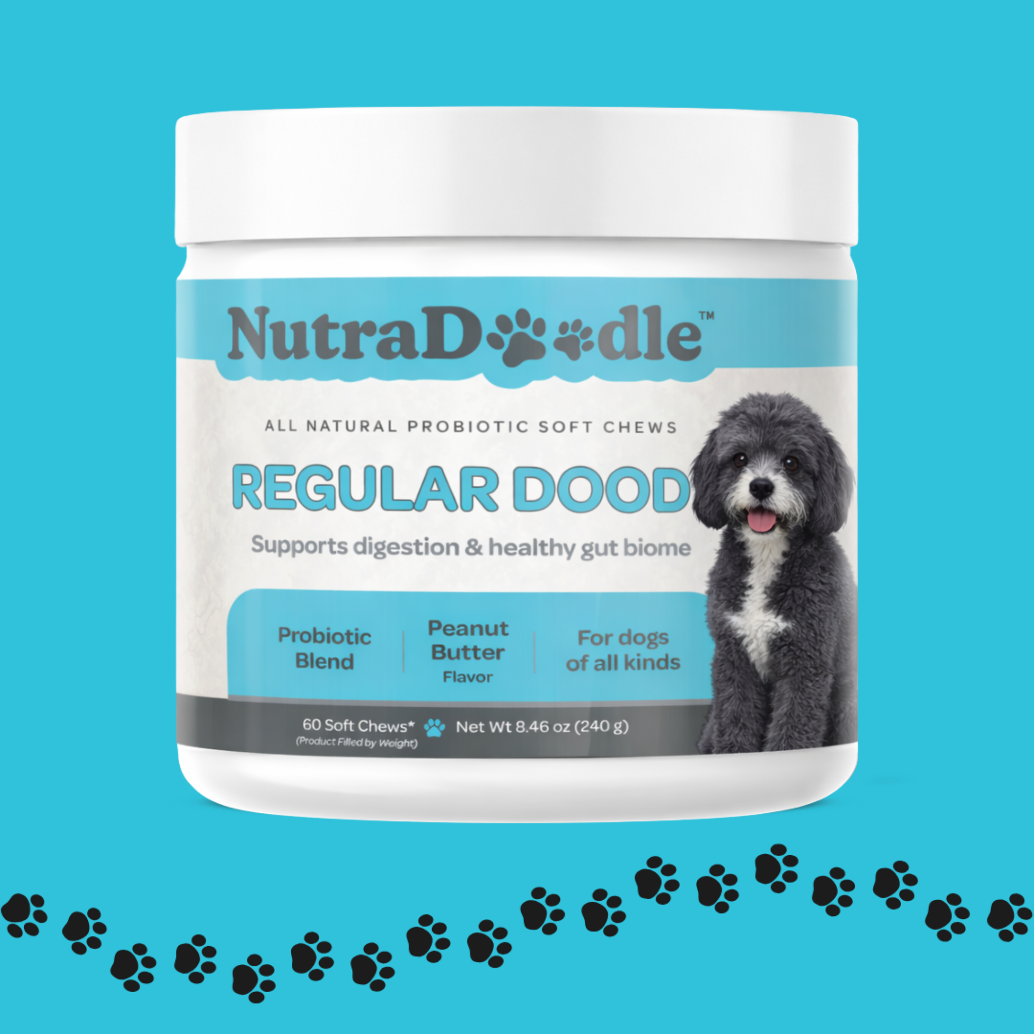 Regular Dood Probiotic Soft Chew – NutraDoodle™