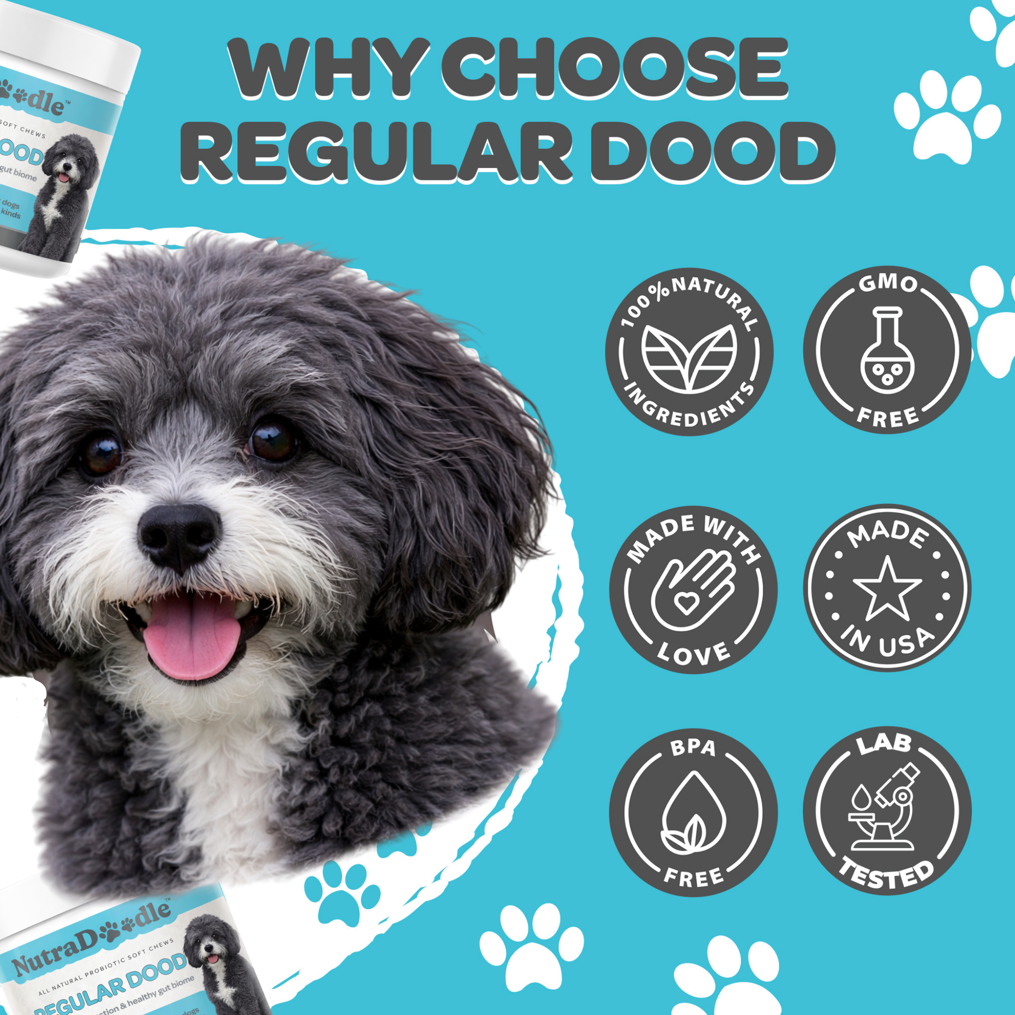 Regular Dood Probiotic Soft Chew