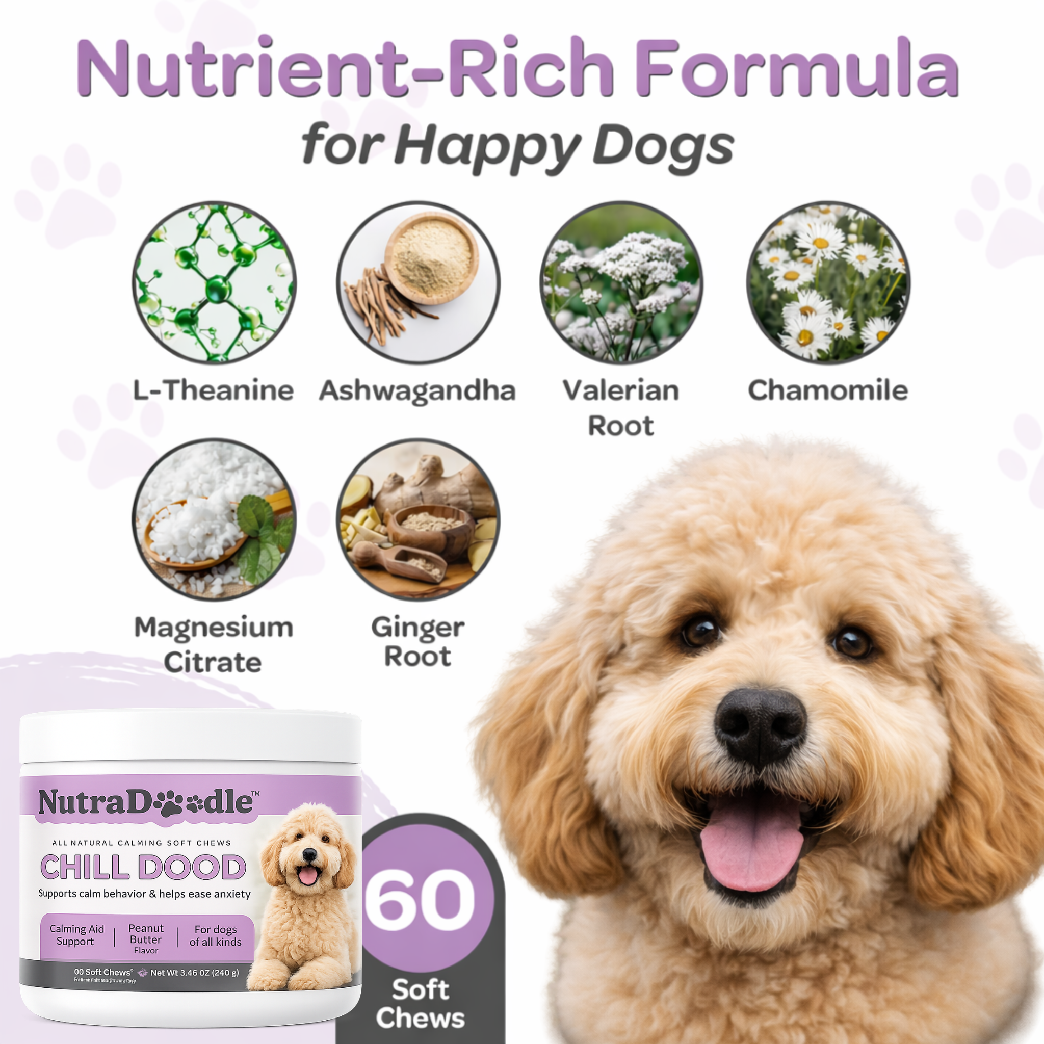 Chill Dood Soft Chew