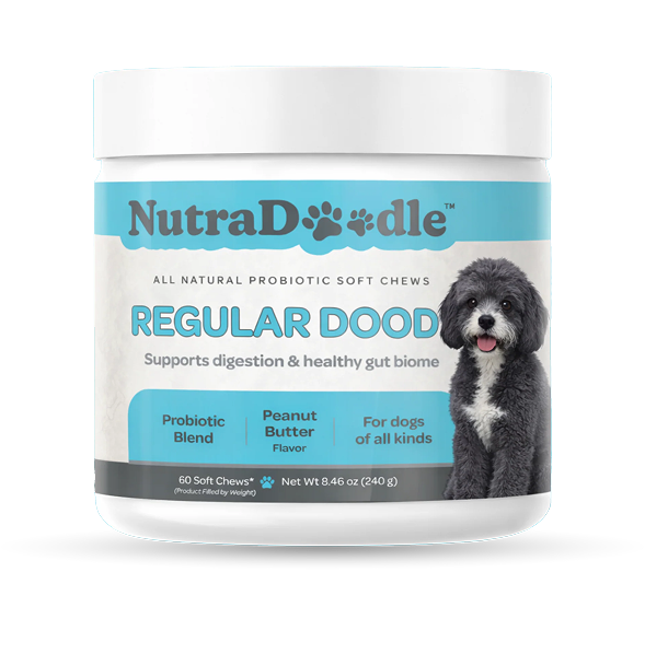 Regular Dood Probiotic Soft Chew