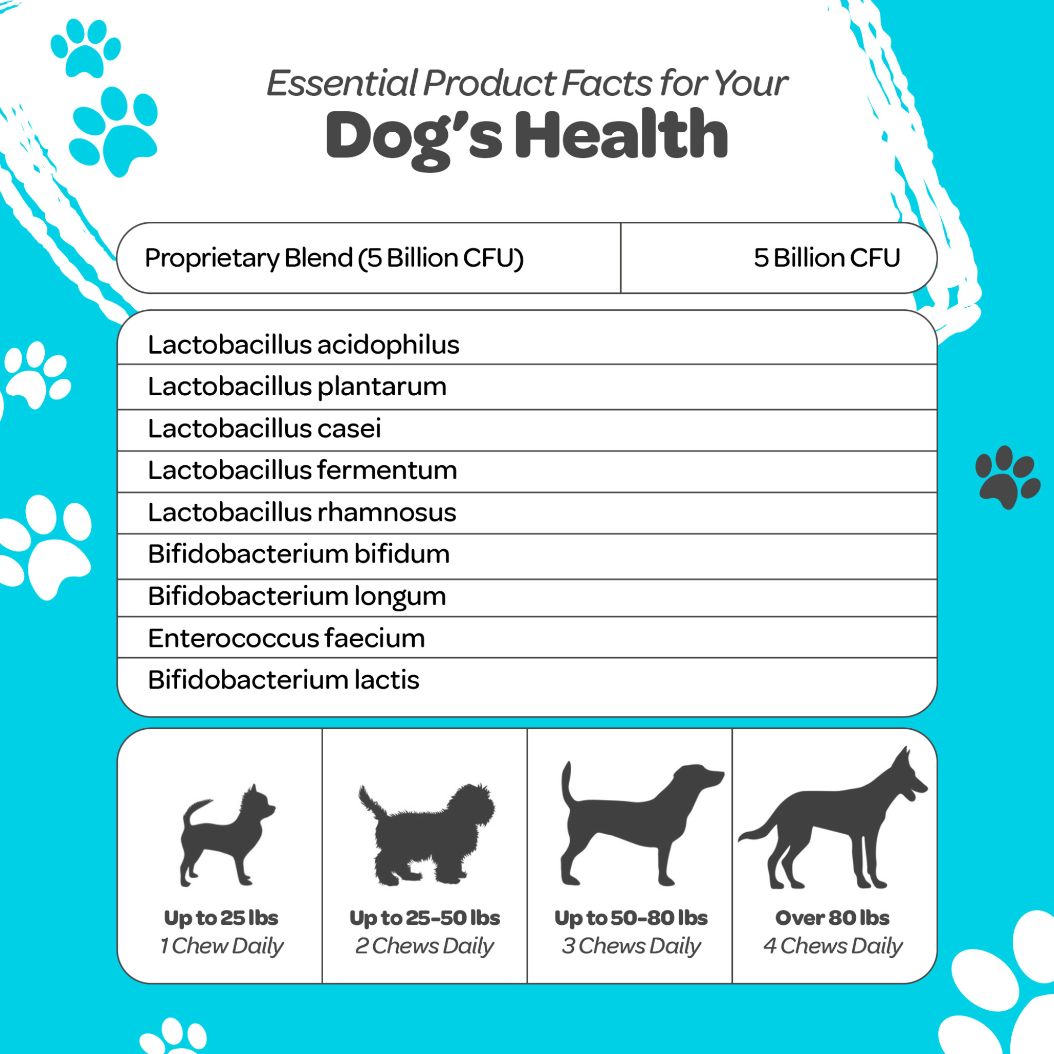 Regular Dood Probiotic Soft Chew