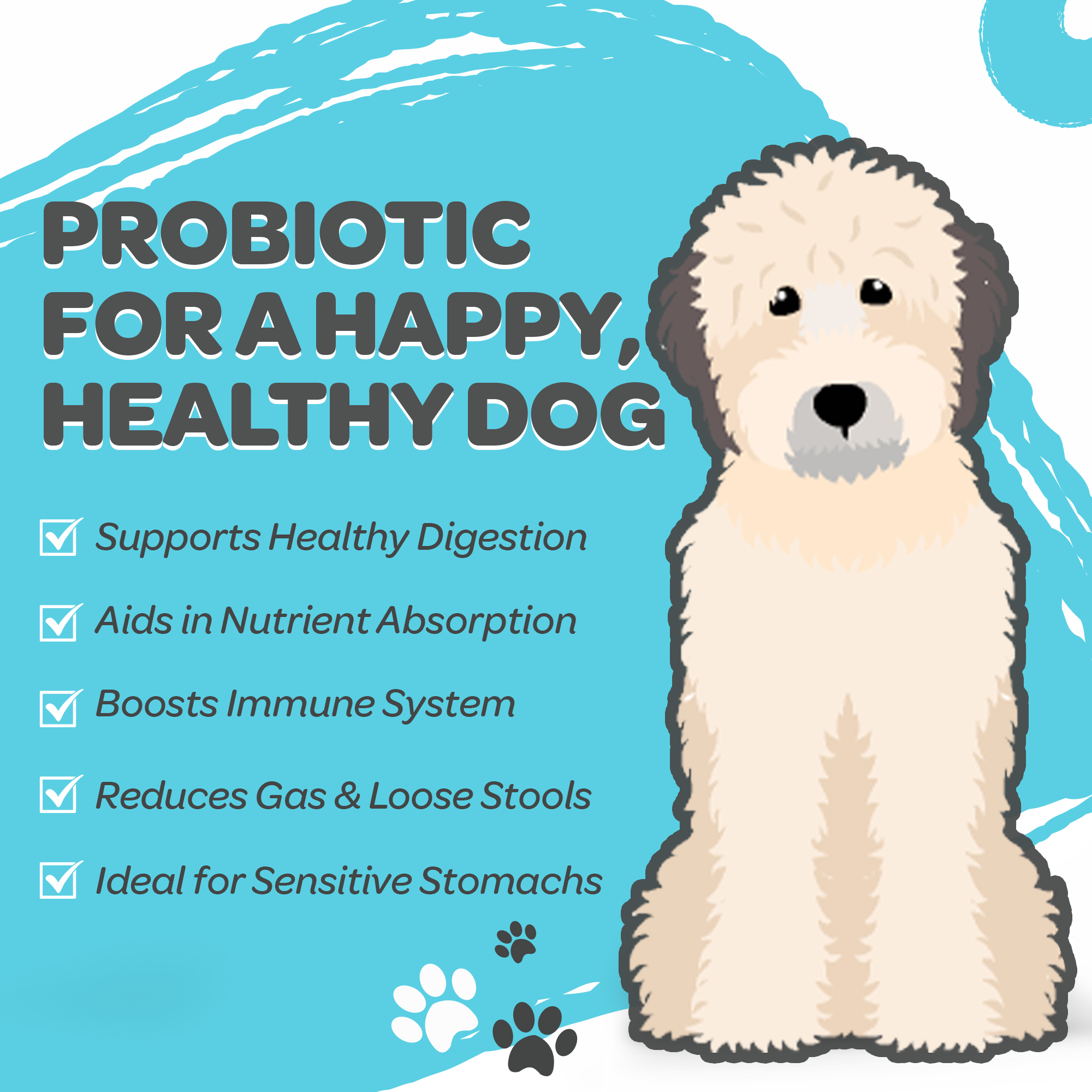 Probiotic Soft Chew