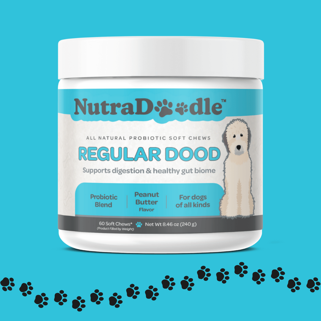 Regular Dood Soft Chew