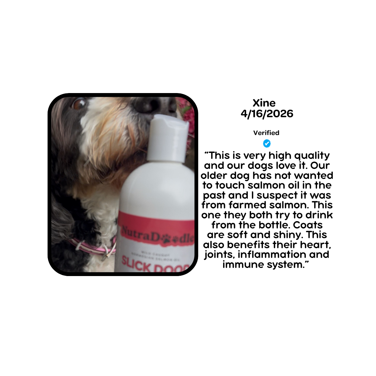 Slick Dood Salmon Oil